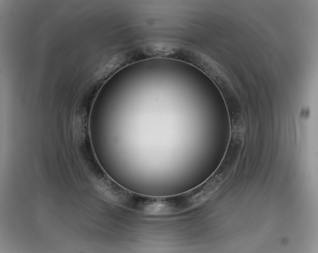 X0000097840460200803141212
