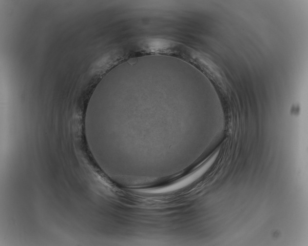 X0000097840461200803141212