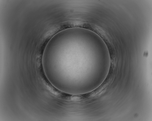 X0000097840462200803141212