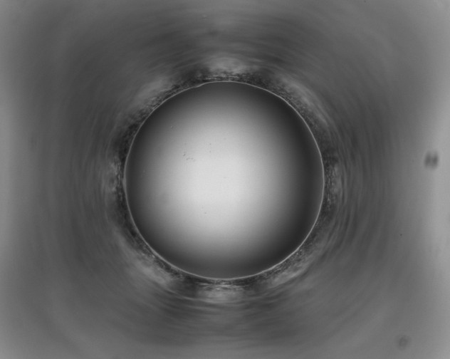 X0000097840463200803141212
