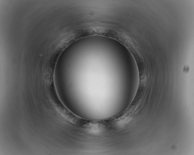 X0000097840464200803141212