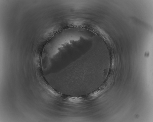 X0000097840465200803141212