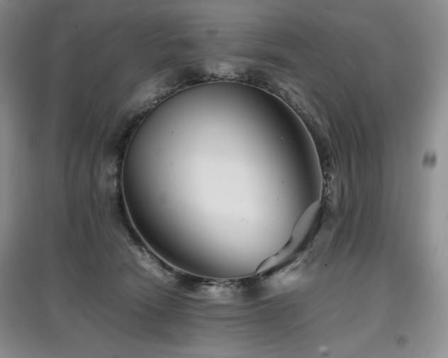 X0000097840466200803141212
