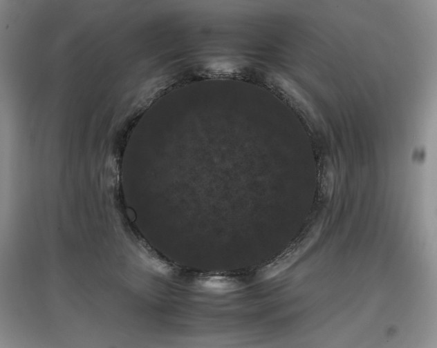 X0000097840467200803141212