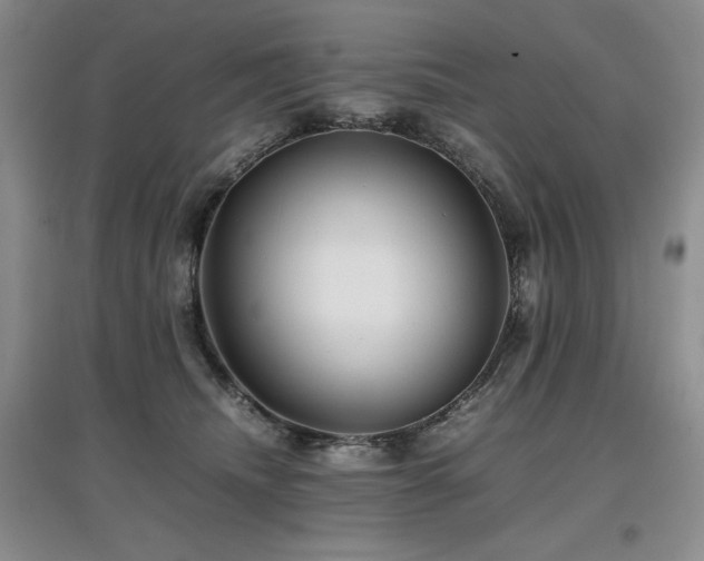 X0000097840468200803141212