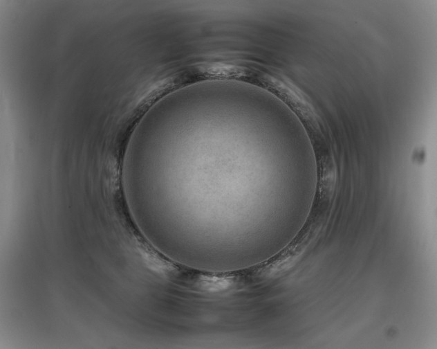 X0000097840469200803141212