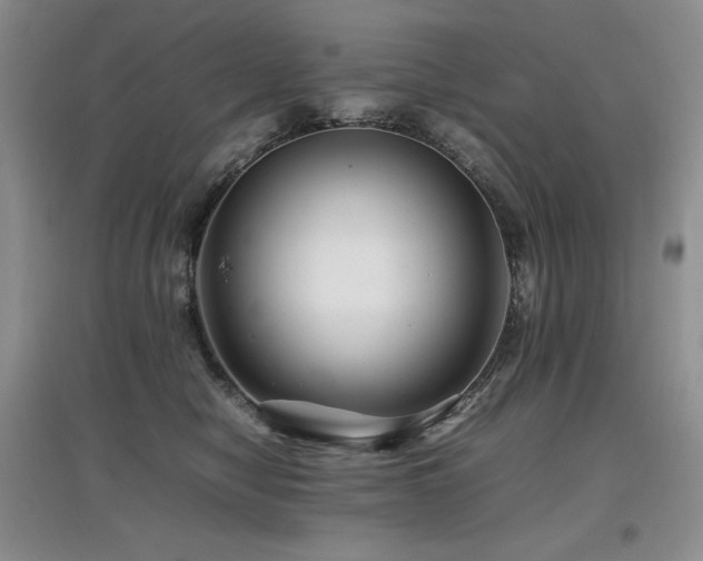 X0000097840470200803141212