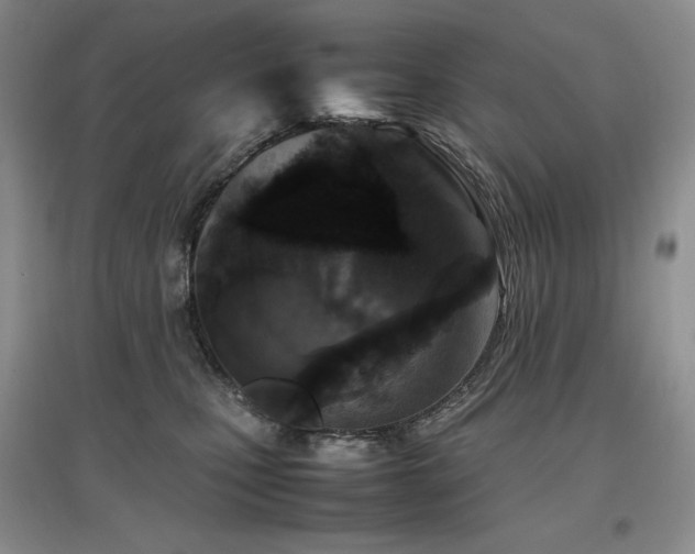 X0000097840471200803141212