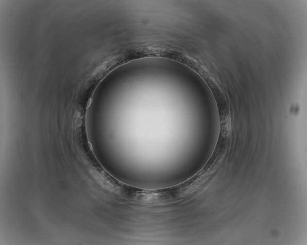 X0000097840472200803141212
