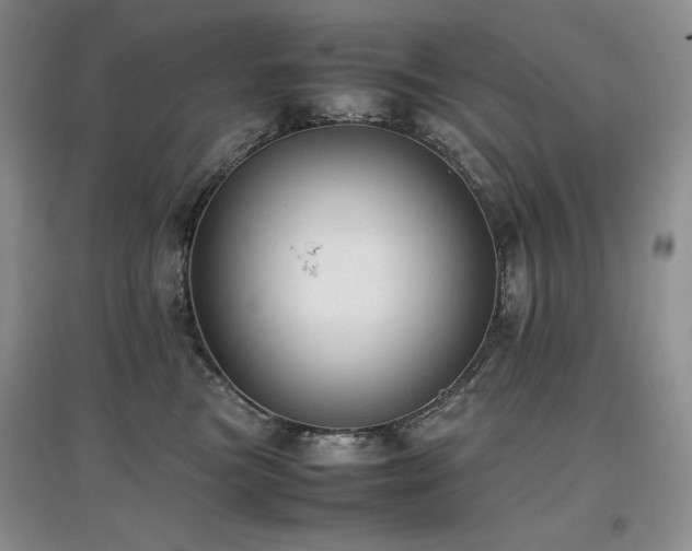 X0000097840473200803141212