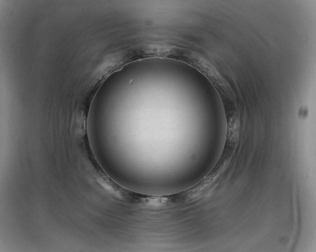 X0000097840474200803141212