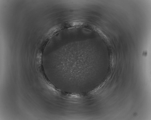 X0000097840475200803141212