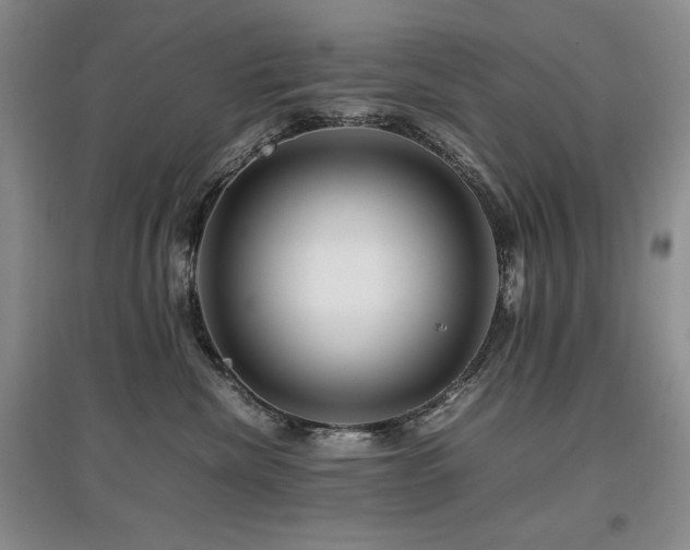 X0000097840476200803141212