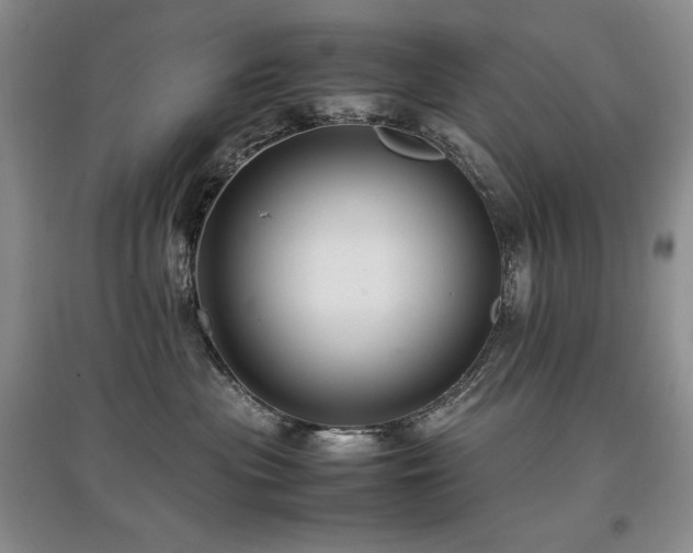 X0000097840477200803141212
