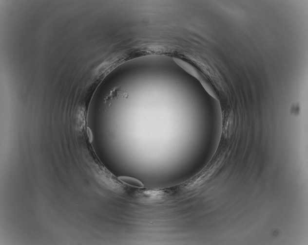 X0000097840478200803141212