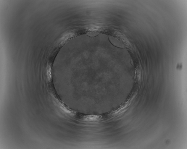 X0000097840479200803141212