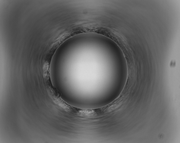 X0000097840480200803141212