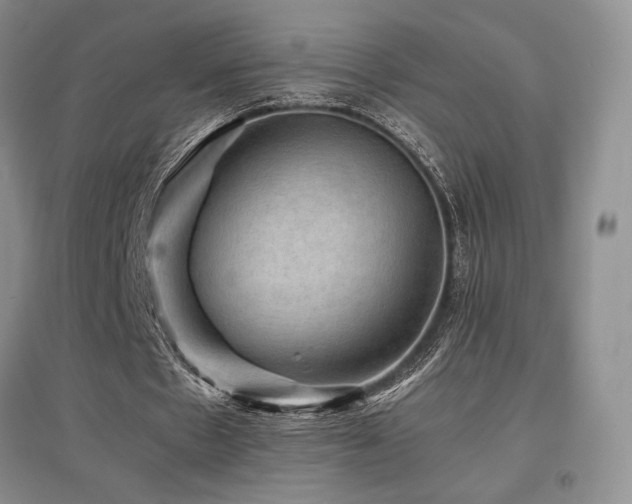 X0000097840481200803141211