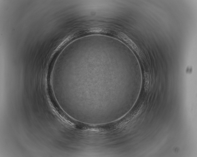X0000097840482200803141211