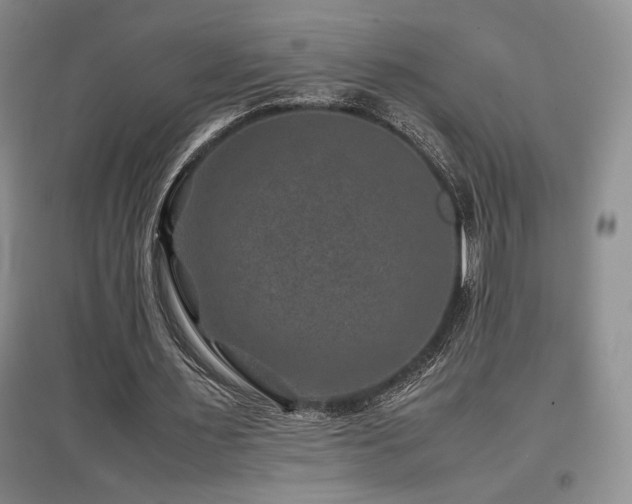 X0000097840483200803141211
