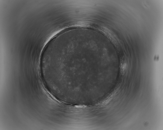 X0000097840484200803141211