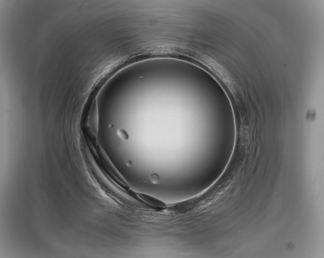 X0000097840485200803141211