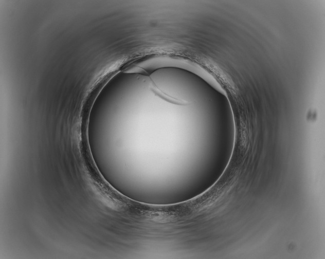 X0000097840486200803141211