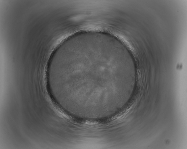 X0000097840487200803141211