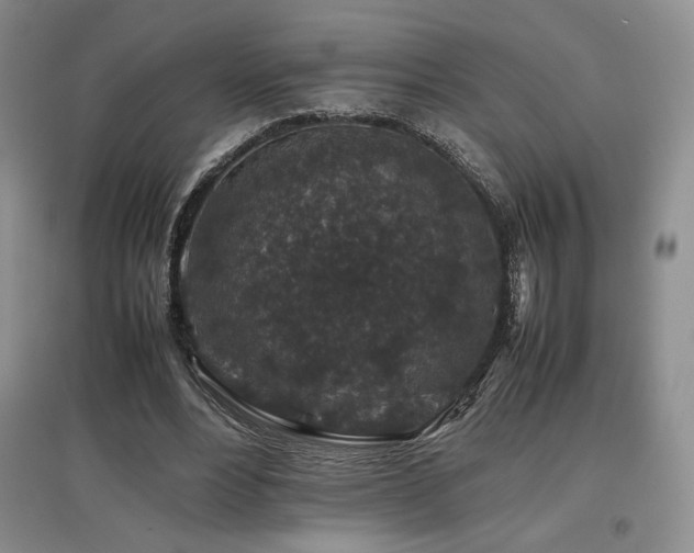 X0000097840488200803141211