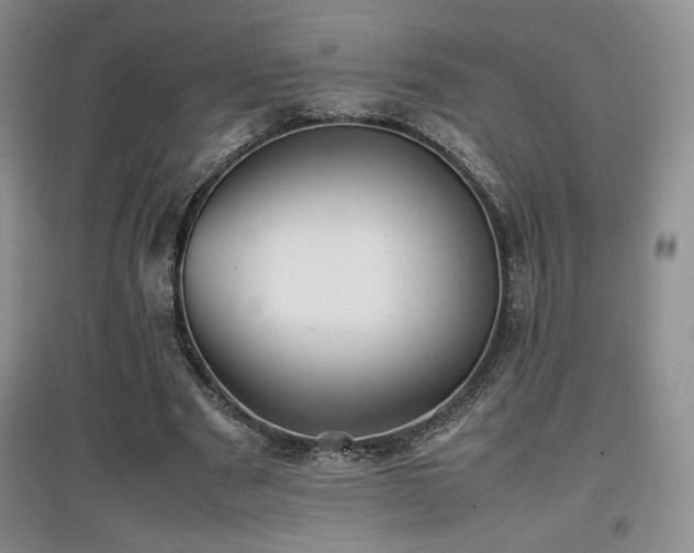 X0000097840489200803141211