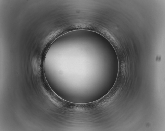 X0000097840490200803141211