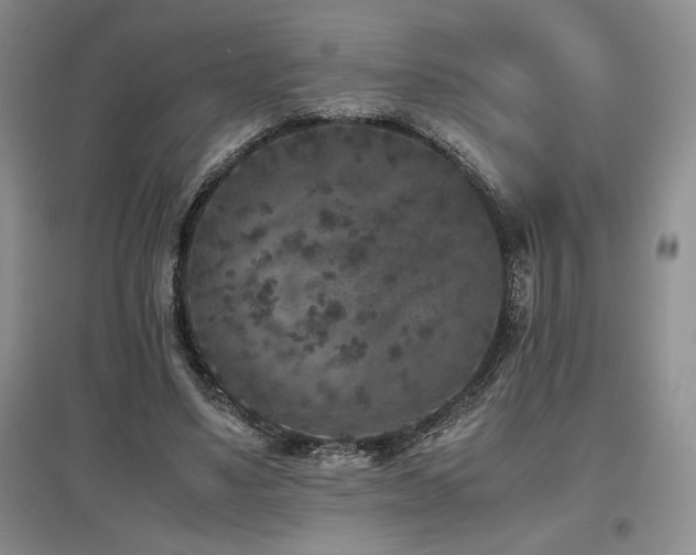 X0000097840491200803141211