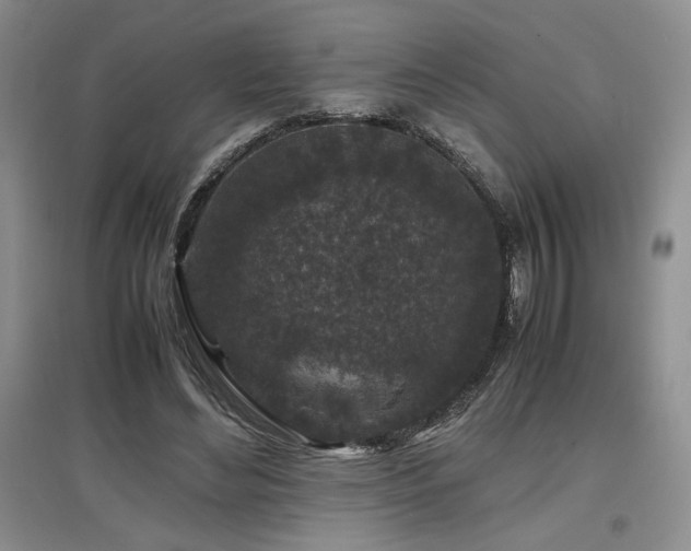 X0000097840492200803141211