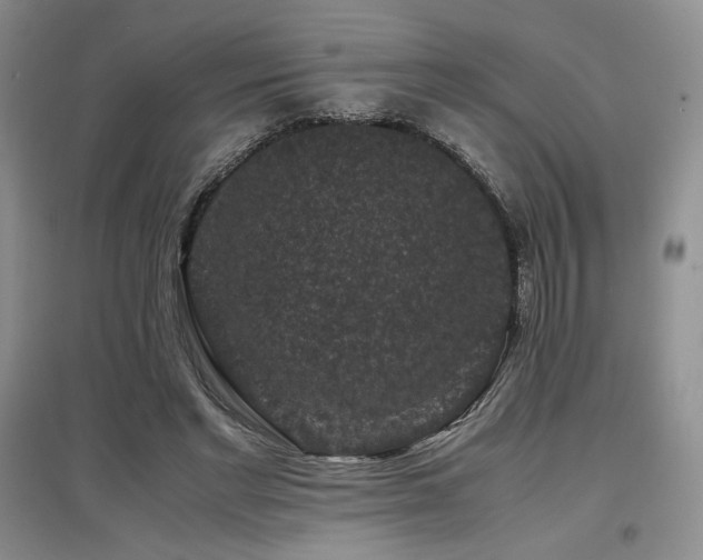 X0000097840493200803141211