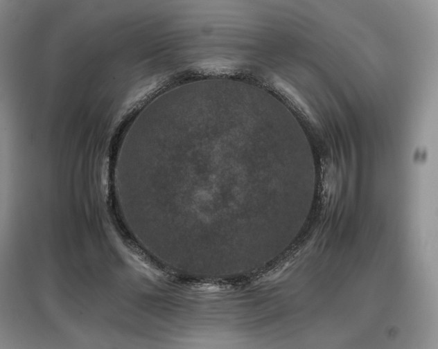 X0000097840494200803141211