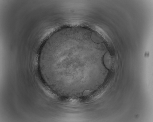 X0000097840495200803141211
