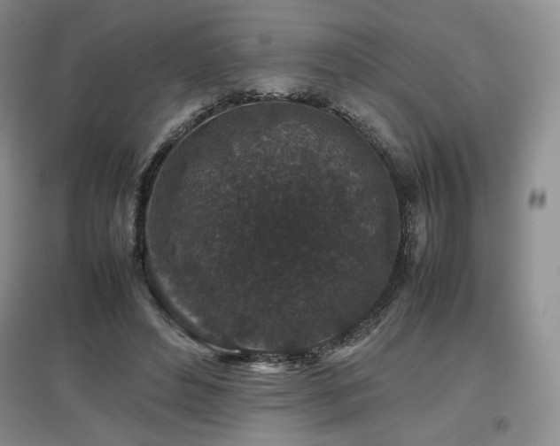 X0000097840496200803141211