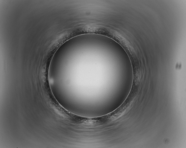 X0000097840497200803141211