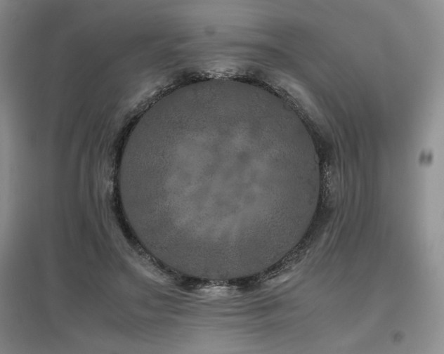 X0000097840499200803141211