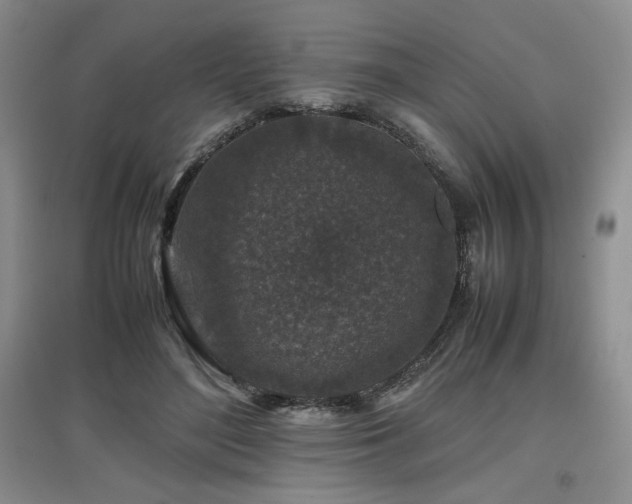 X0000097840500200803141211
