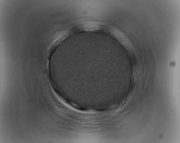X0000097840501200803141211