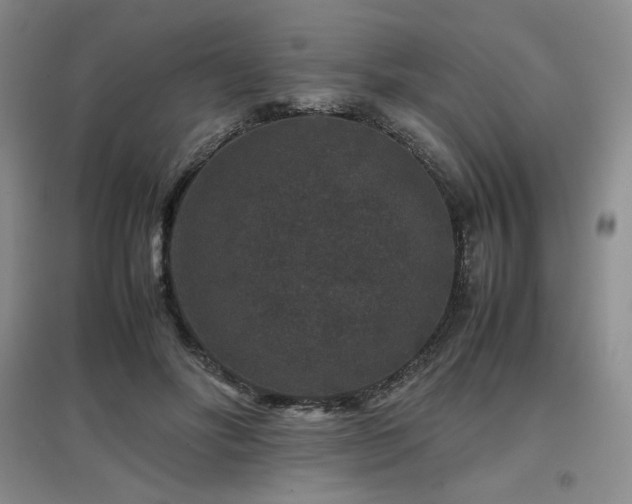 X0000097840502200803141211