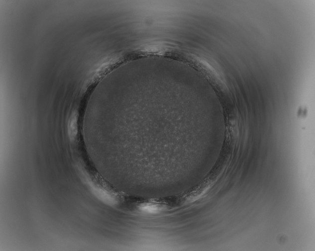 X0000097840504200803141211