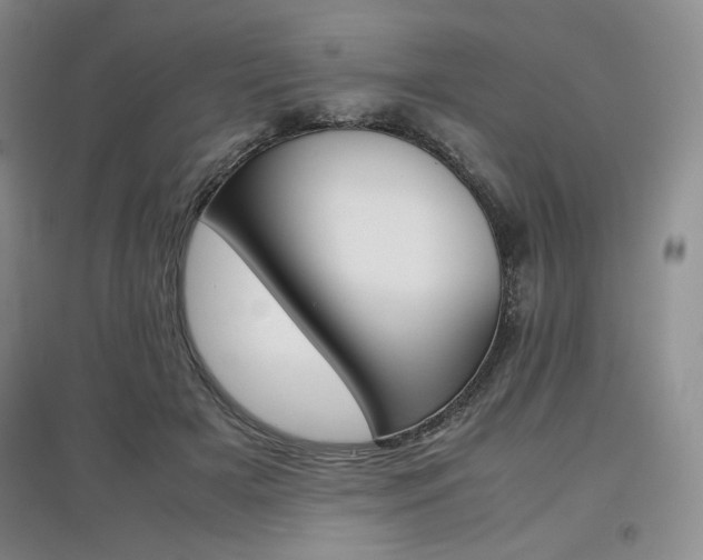 X0000097840505200803141211