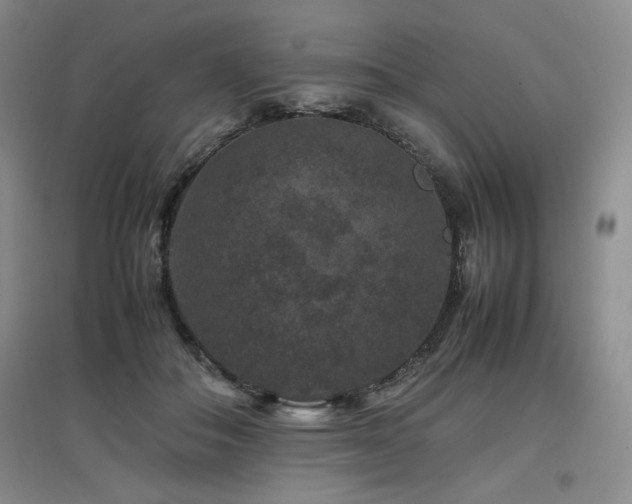 X0000097840506200803141211