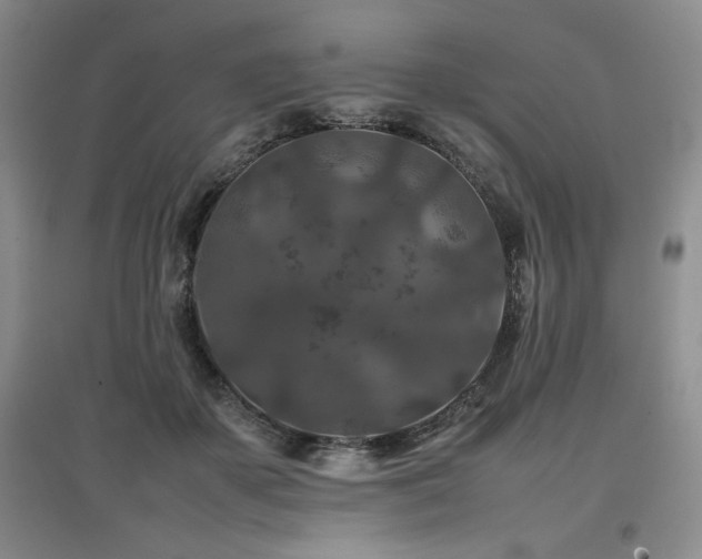 X0000097840507200803141211