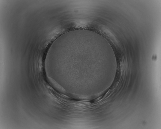 X0000097840508200803141211