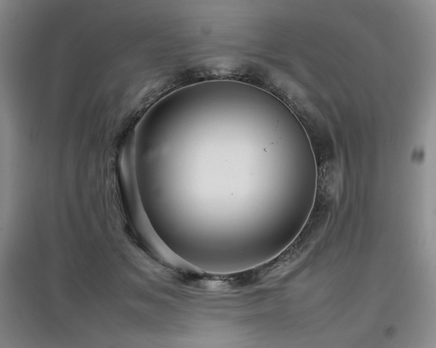 X0000097840509200803141211