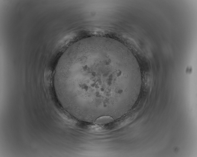 X0000097840511200803141211