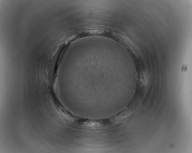 X0000097840512200803141211